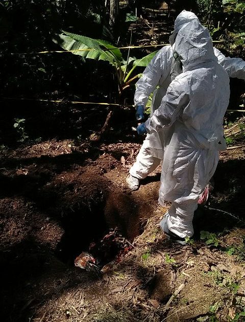 Dinkes Lakukan Sosialisasi Pencegahan Flu Burung