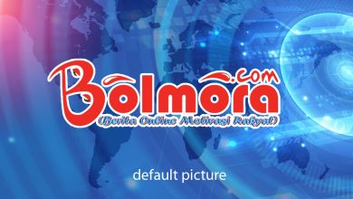 default picture bolmora