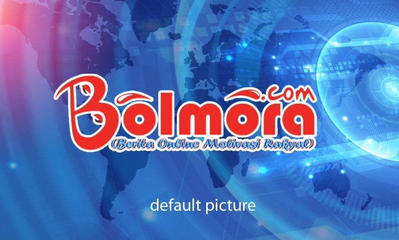 default picture bolmora